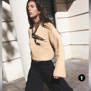 Zara Short Knit Wool, Alpaca Blend Sweater. Size XS.